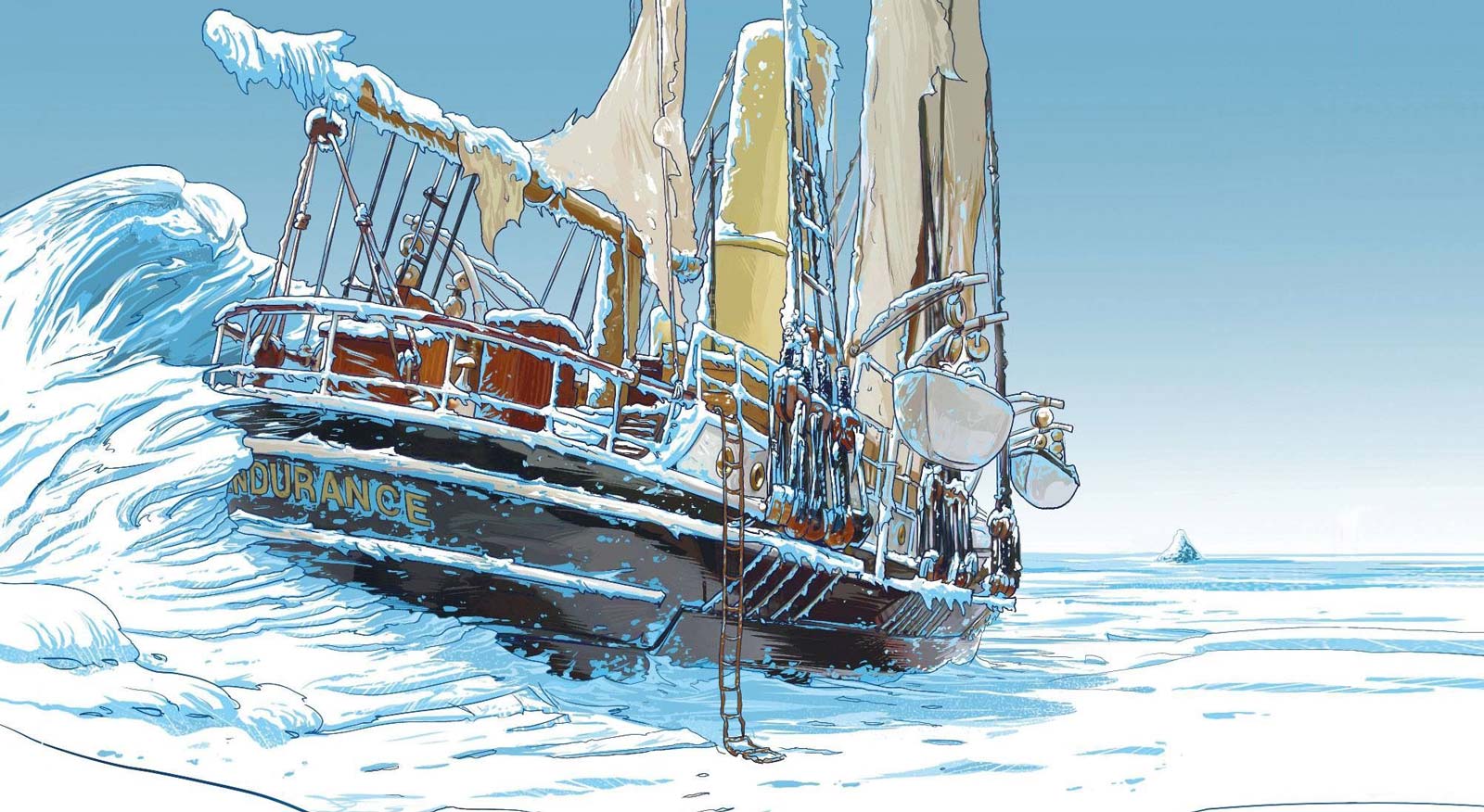 section_background