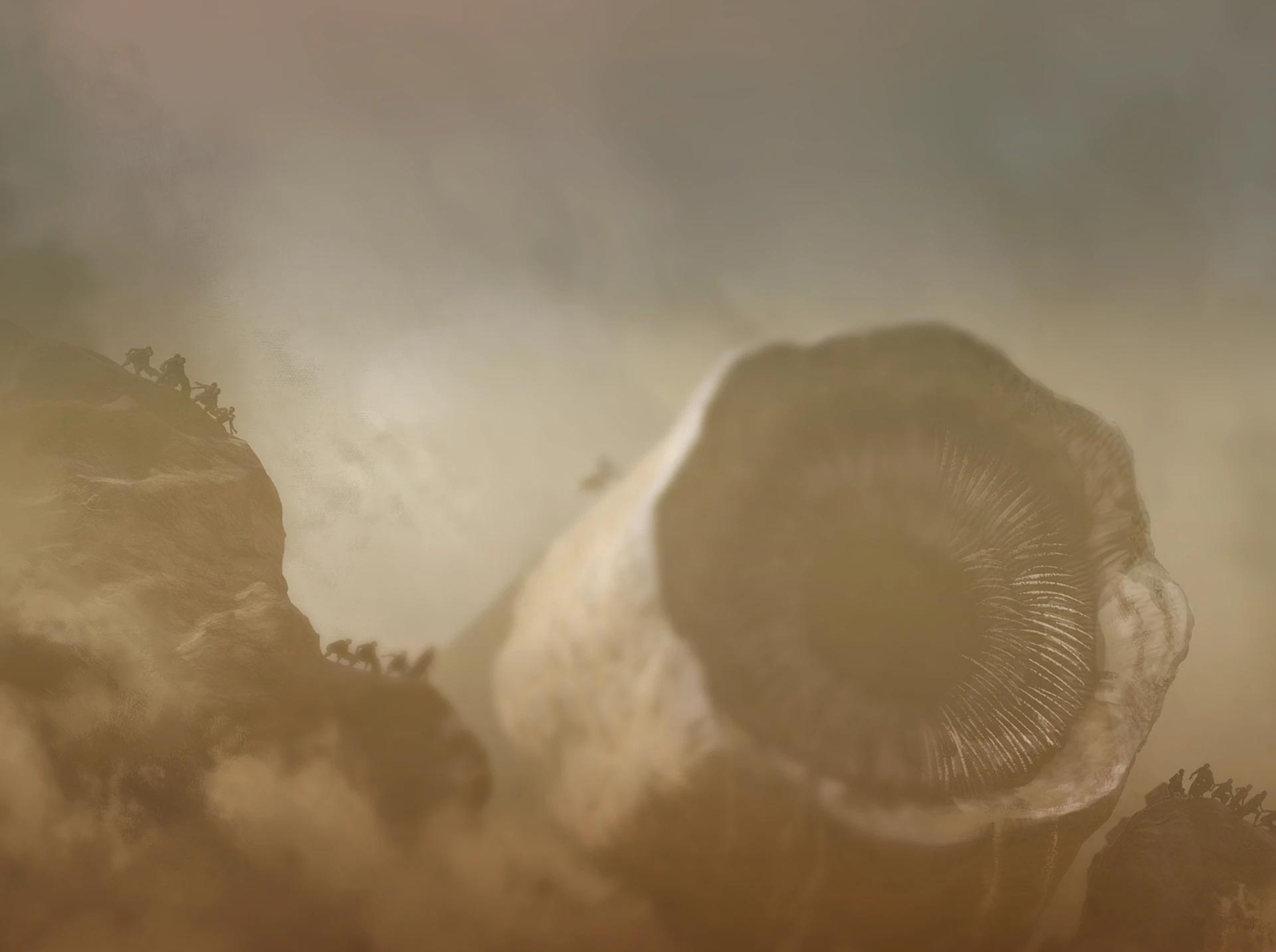 section_background